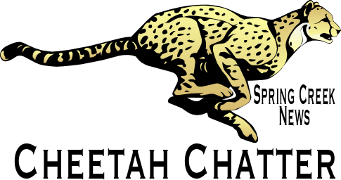 Cheetah Logo