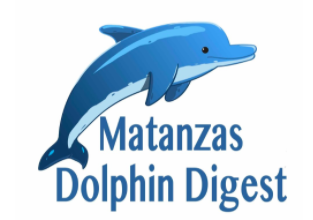Newsletter: Winter Break