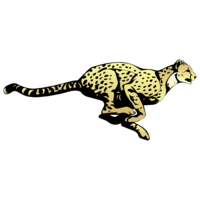 Cheetah Chatter Aug. 26, 2019